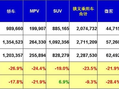 连续增长结束 1月销量下滑9.3%迎冷开局 