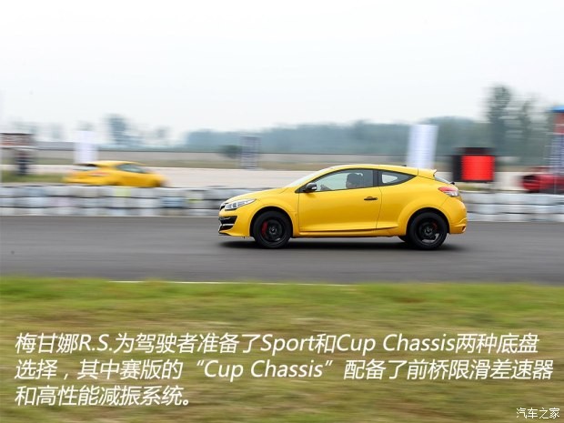 雷诺 梅甘娜 2014款 R.S. 2.0T 赛版