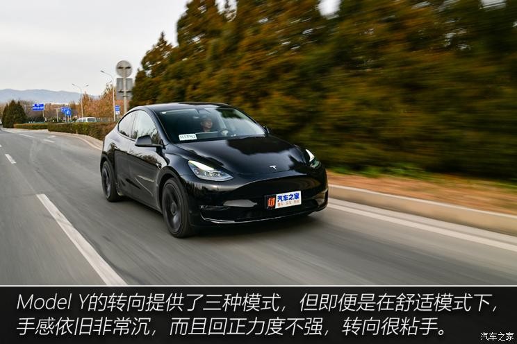 特斯拉中国 Model Y 2021款 Performance高性能全轮驱动版